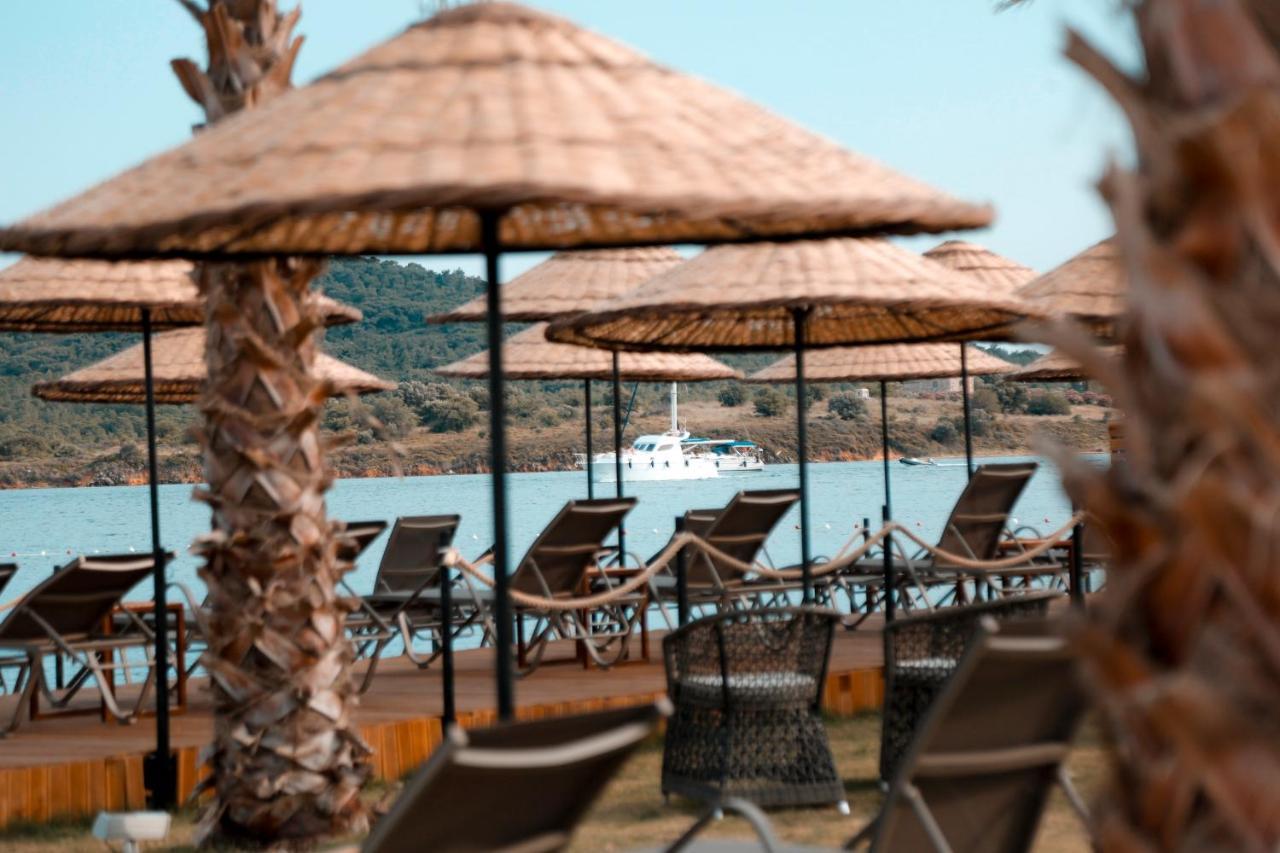 Cunda Fora Glamping Hotel Ayvalı Eksteriør billede